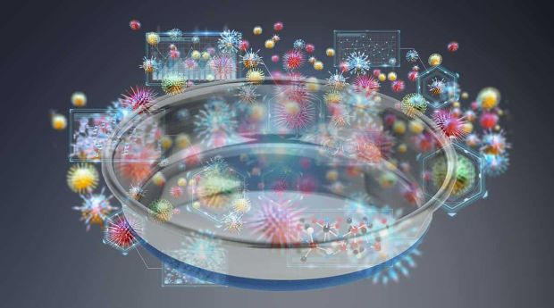 Dangers in the Water Bowl