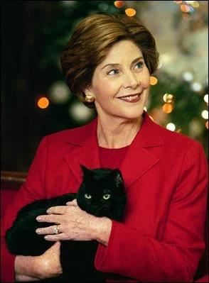 First-lady-laura-bush-with-india, American Shorthair, American Shorthair cat