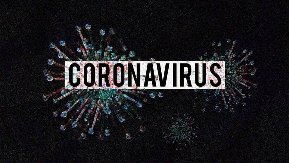 Coronavirus and pets
