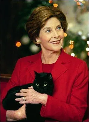 First-lady-laura-bush-with-india, American Shorthair, American Shorthair cat