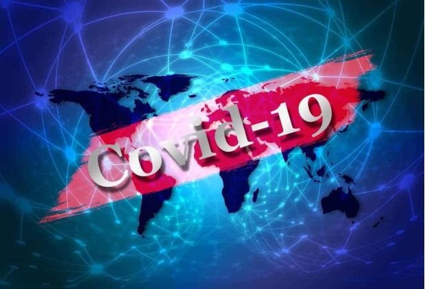 COVID-19 and Companion Pets