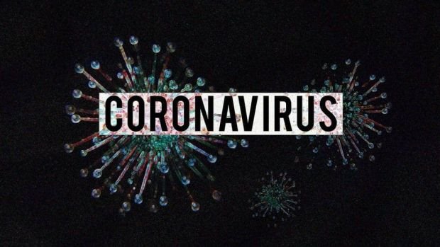 The Wuhan Coronavirus and Companion Pets