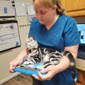 Erika C., DVM & Linus
